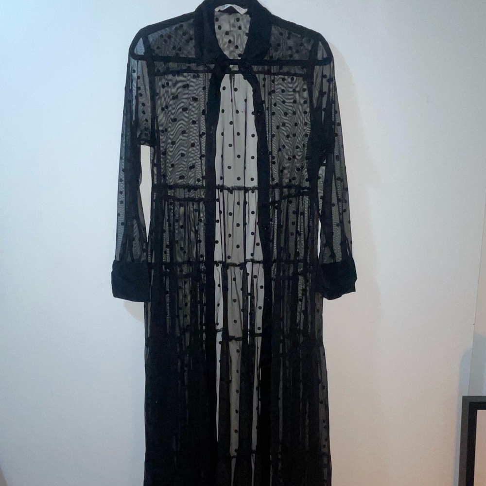 Zara Black Sheer Polka Dot Dress
